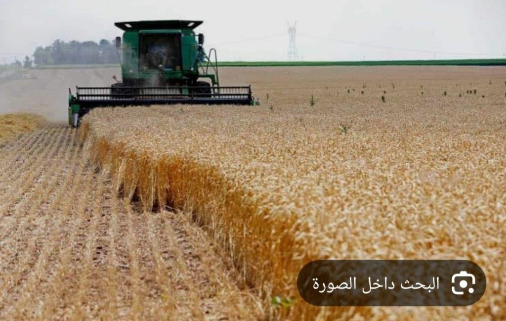 95194 ألف طن كمية القمح المسوقة في درعا 1 IMG 20240831 131713 395