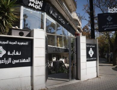 زيادة الرواتب التقاعدية للمهندسين الزراعيين في سوريا 50% اعتباراً من عام 2026 2 الواتب التقاعدية