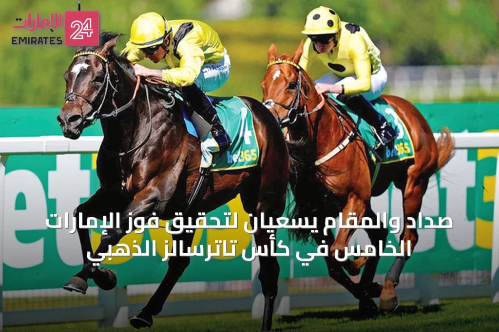 صداد والمقام يسعيان لتحقيق فوز الإمارات الخامس في كأس تاترسالز الذهبي » الإمارات 24 1 كأس تاترسالز الذهبي