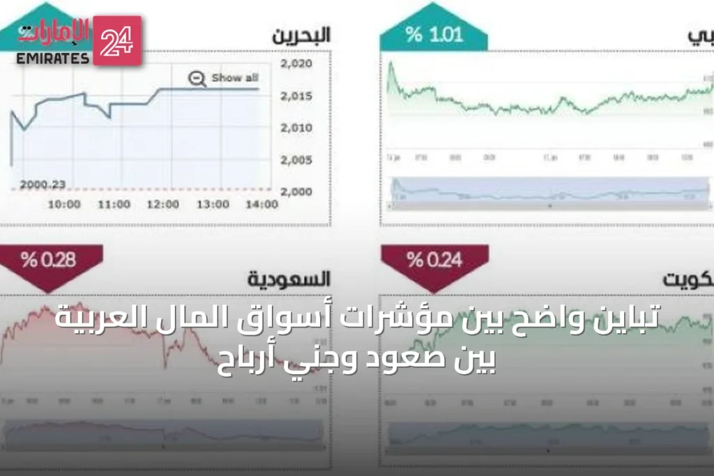 تباين واضح بين مؤشرات أسواق المال العربية بين صعود وجني أرباح » الإمارات 24 1 article 46904