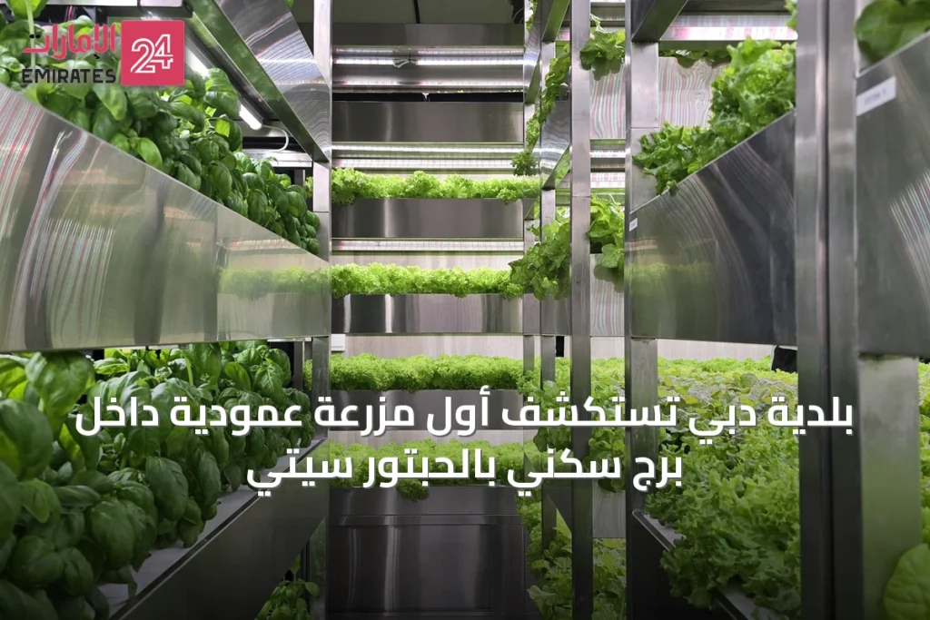 بلدية دبي تستكشف أول مزرعة عمودية داخل برج سكني بالحبتور سيتي » الإمارات 24 1 article 53715