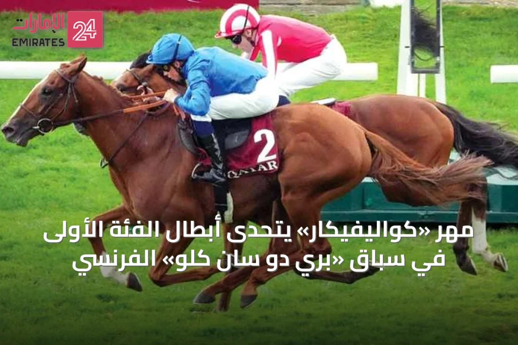مهر «كواليفيكار» يتحدى أبطال الفئة الأولى في سباق «بري دو سان كلو» الفرنسي » الإمارات 24 1 article 66983