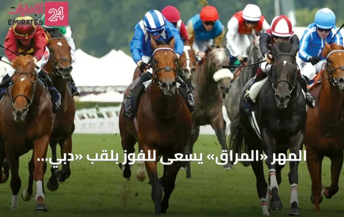 المهر «المُراق» يسعى للفوز بلقب «دبي جولاي كب» في نيوماركت » الإمارات 24 5 article 74637