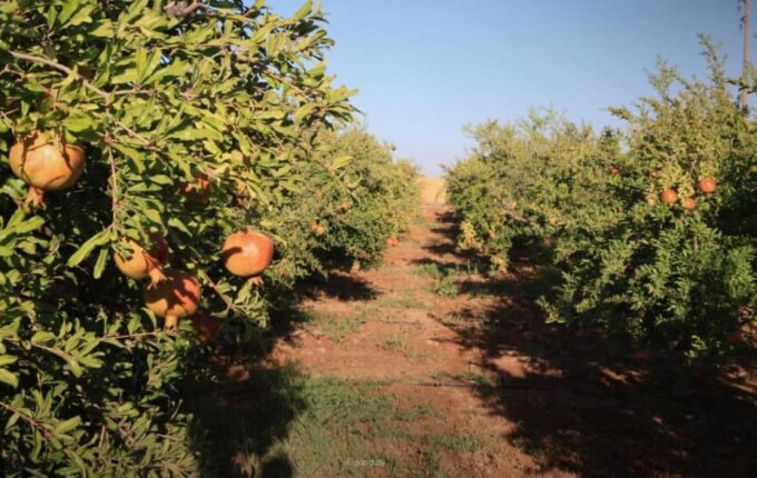 الماء يكسر معادلة تحويل التراب