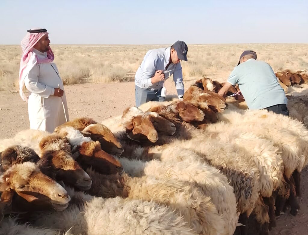 اتفاقيات ومذكرات تفاهم زراعية تفتح أبواباً للاستثمار في سوريا 1 اتفاقيات ومذكرات تفاهم زراعية تفتح