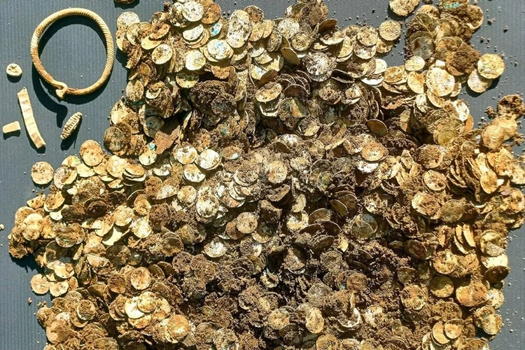 اكتشاف أكبر كنز عملات فضية لعصر الفايكنج في فنلندا 1 اكتشاف أكبر كنز عملات فضية